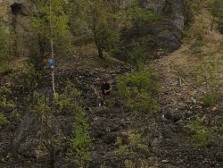 III Spontaniczne Zawody Jurajskie